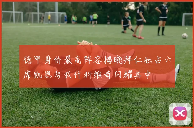 德甲身价最高阵容揭晓拜仁独占六席凯恩与武什科维奇闪耀其中